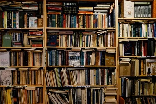 ИИ-компании начали массово скупать старые книги. И после сканирования - уничтожать - Искусственный интеллект, Книги, Уничтожение, Проблема, Обучение, Наука, Ученые, Прогресс, Будущее, Искусство, Цивилизация, Развитие, Мышление