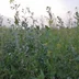 user12027725