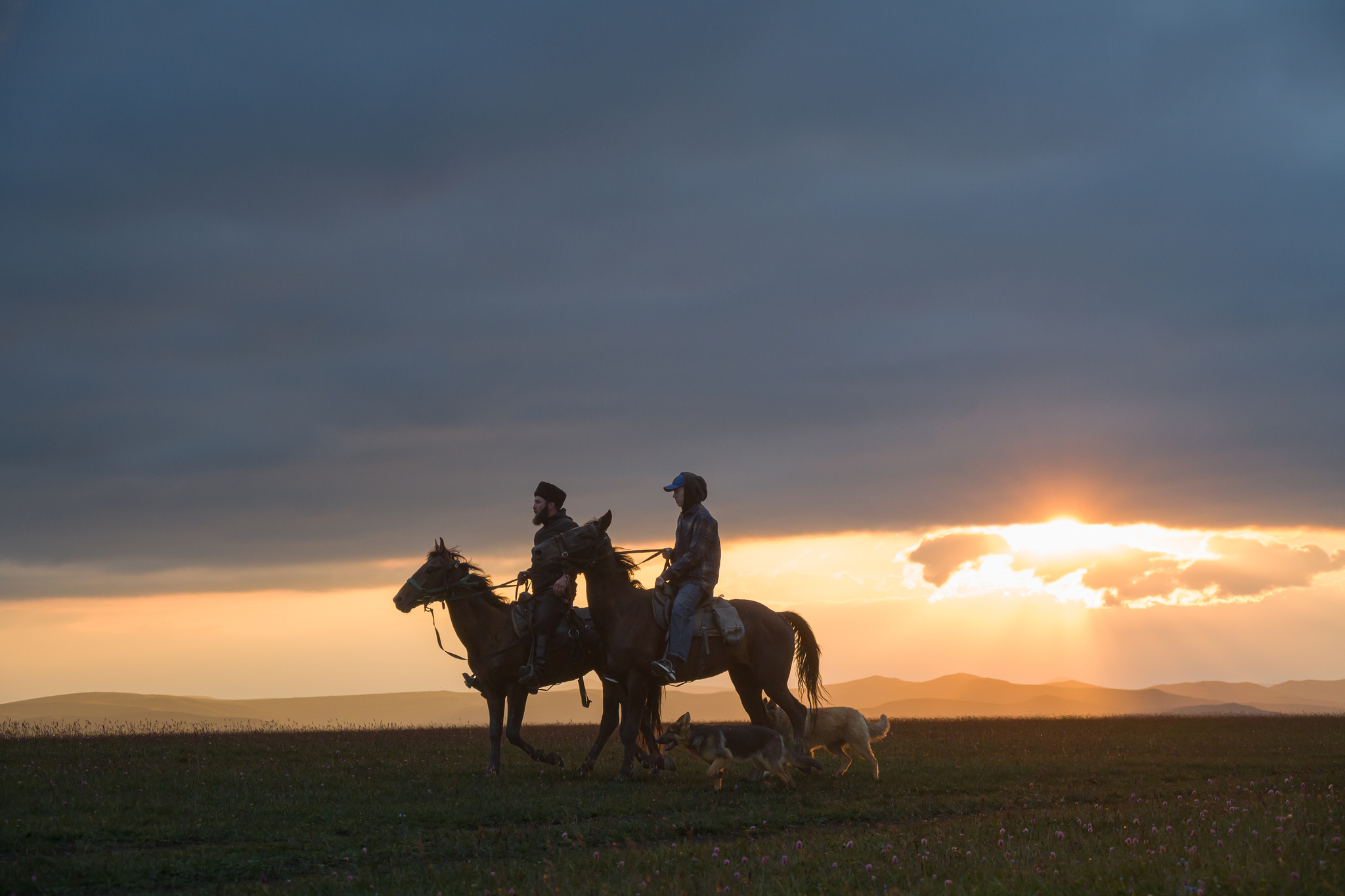 July 22, 2026. Photo from Mount Kharbas, Kabardino-Balkaria - My, Nikon, Beautiful view, The photo, Russia, The mountains, Horses, Sunrises and sunsets, Kabardino-Balkaria, Longpost