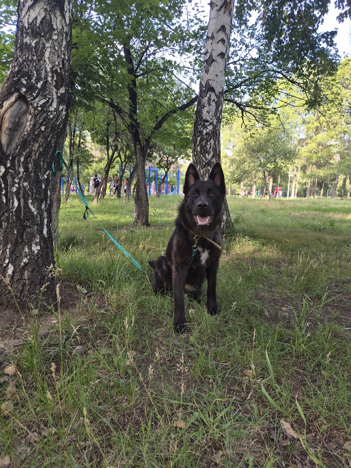 Бабайка. Она же Байка)