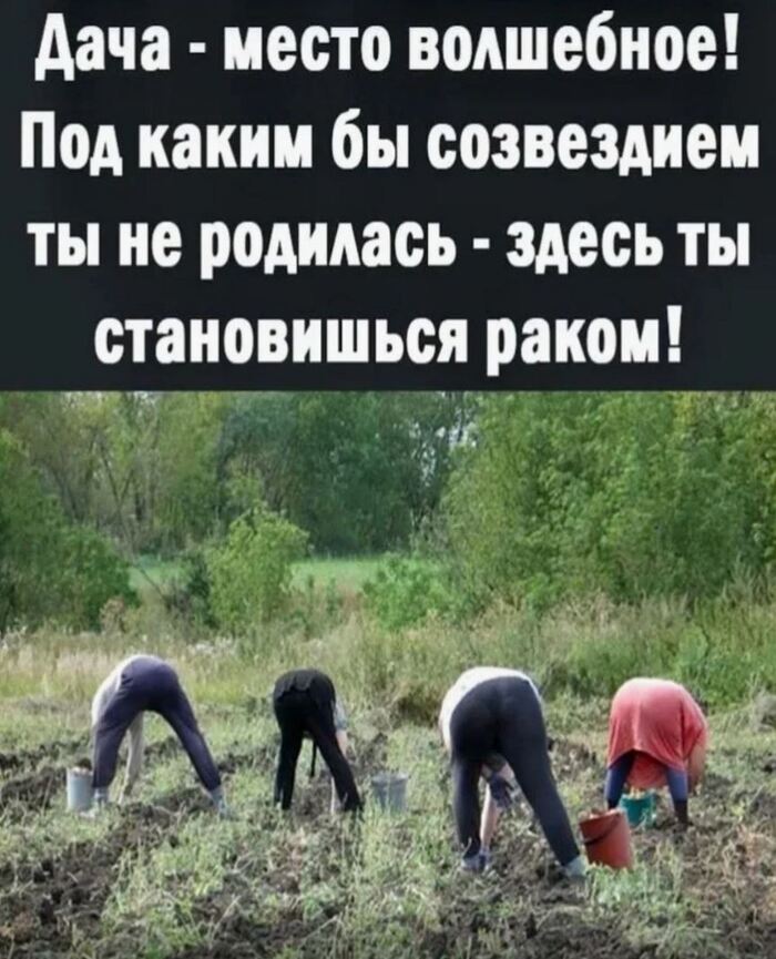 Когда астрология бессильна