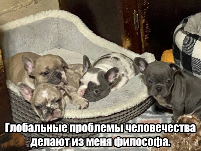 Воть тяк Воть. Mилота