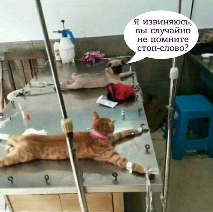 ��...