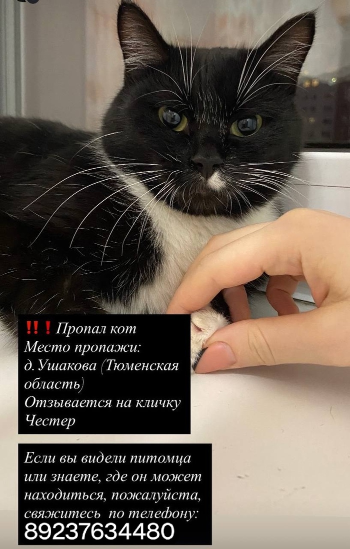 ����� ������