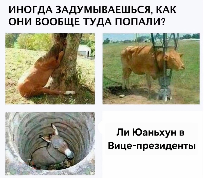 ����� ��� ��� ������.)