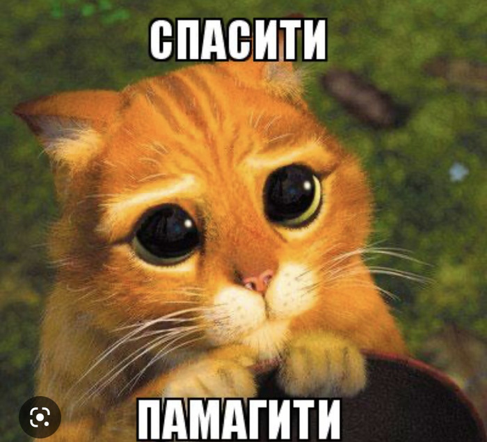 Обучение английскому "по бразильской системе"
