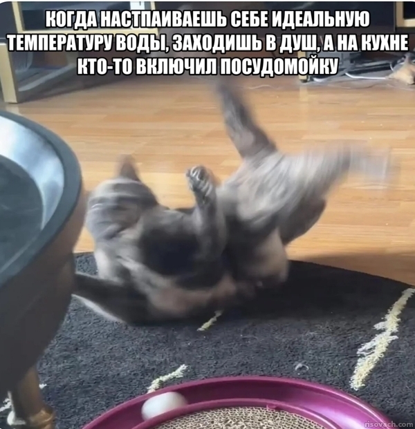 �� ��� ���-��