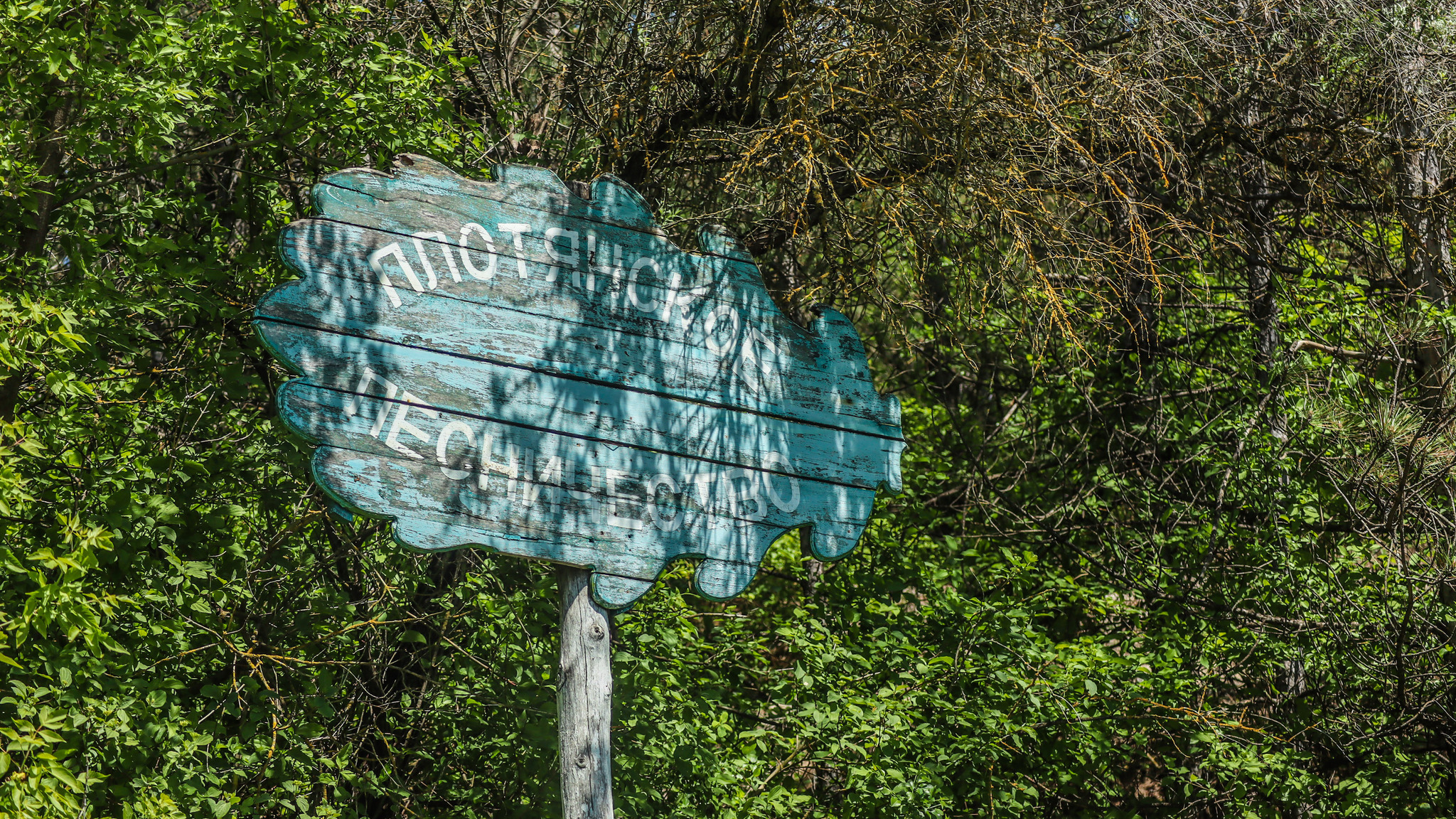 Flesh, PMR - The photo, Village, Transnistria, Mass grave, Memorial, Fascism, Jews, Longpost