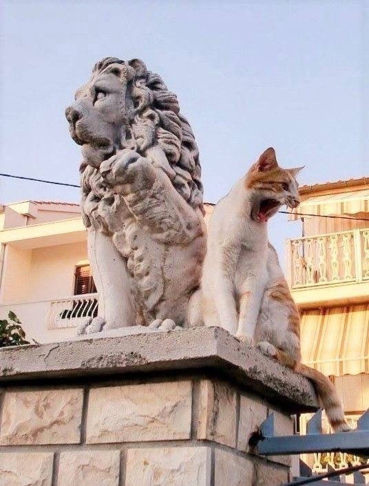 Чё сказали?! Да сейчас мой парень вас всех уработает!
