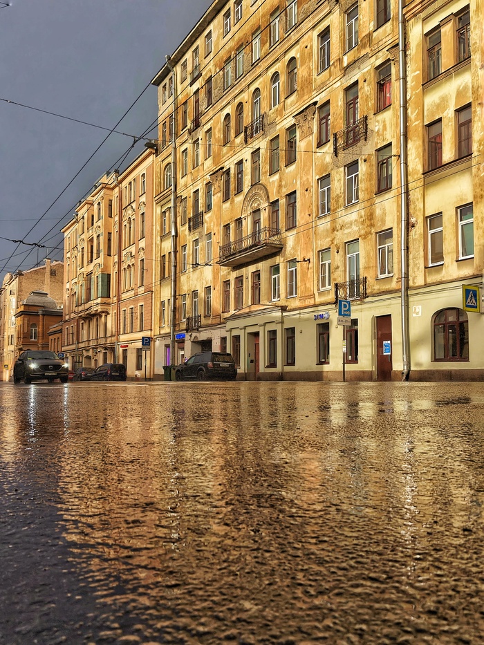 Мытнинская улица
