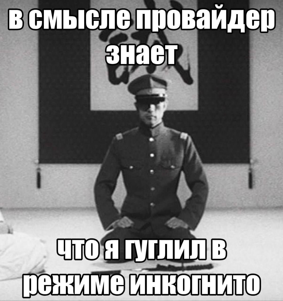 Ingushetia is developing - Humor, Ingushetia, 18 years, Men and women, Bashkortostan, Adolf, cat, Longpost