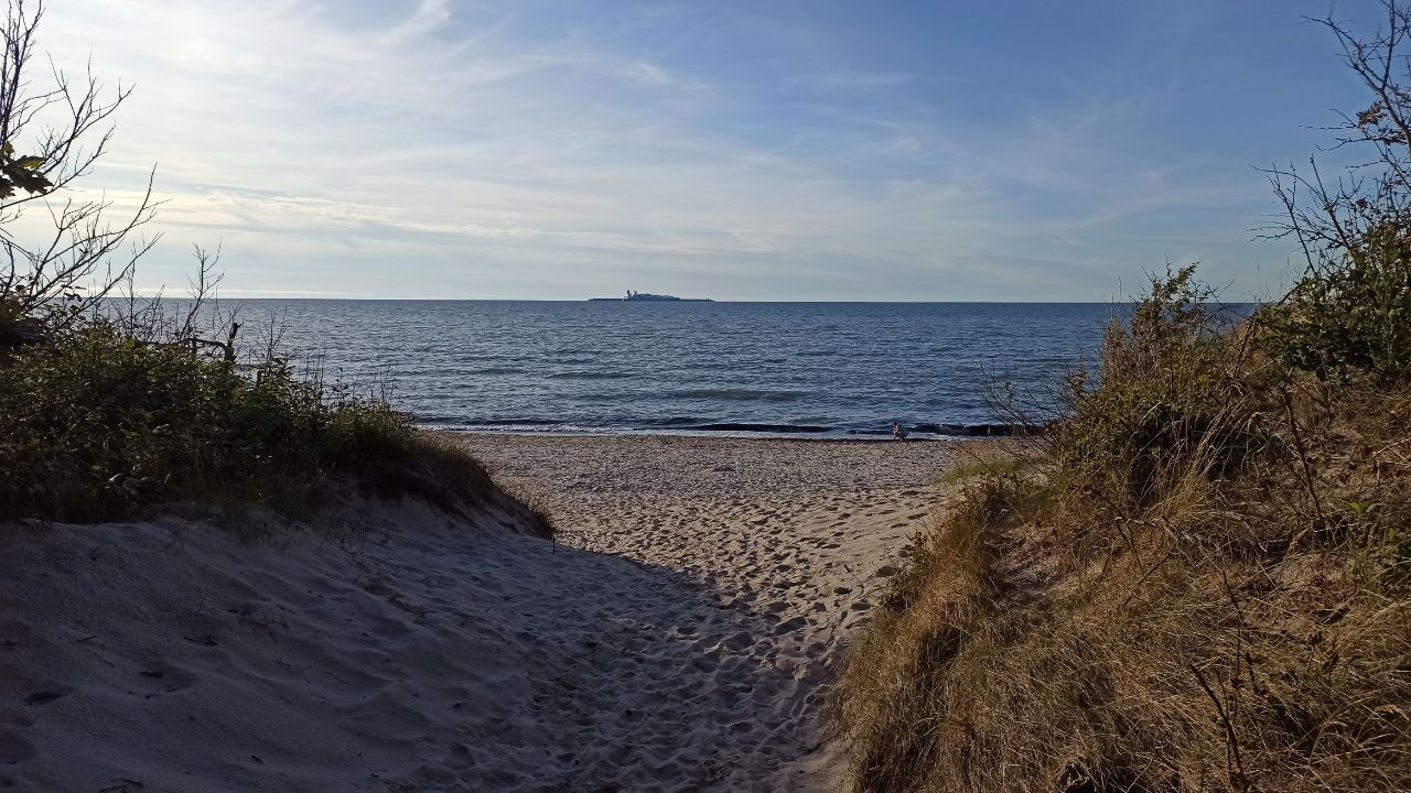 Let's end the work week right - My, A life, Sea, Evening, Beach, Kaliningrad region, Kaliningrad, Zelenogradsk, Cities of Russia, Relaxation, Recovery, Baltic Sea, Road, Fork, Russia, Pine, Sand, Longpost