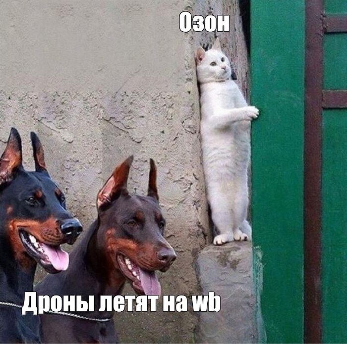 Озон сейчас