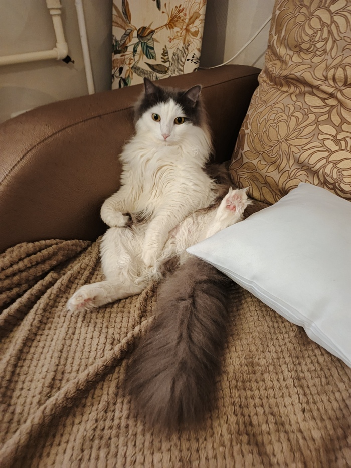 А мне всё по кайфу