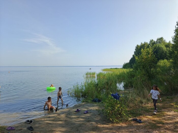 Увильды