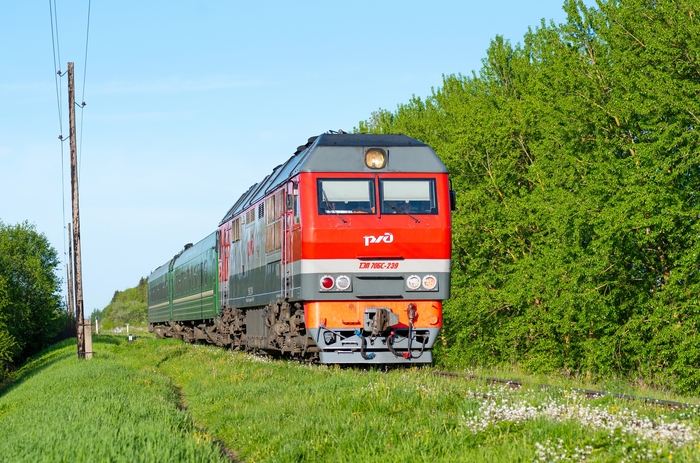 Тепловоз ТЭП70БС-239 с пригородным поездом перегон Назимово - Великие Луки. Дата: 25.05.2022 Очень редко попадаются ещё зеленые вагоны в составе.