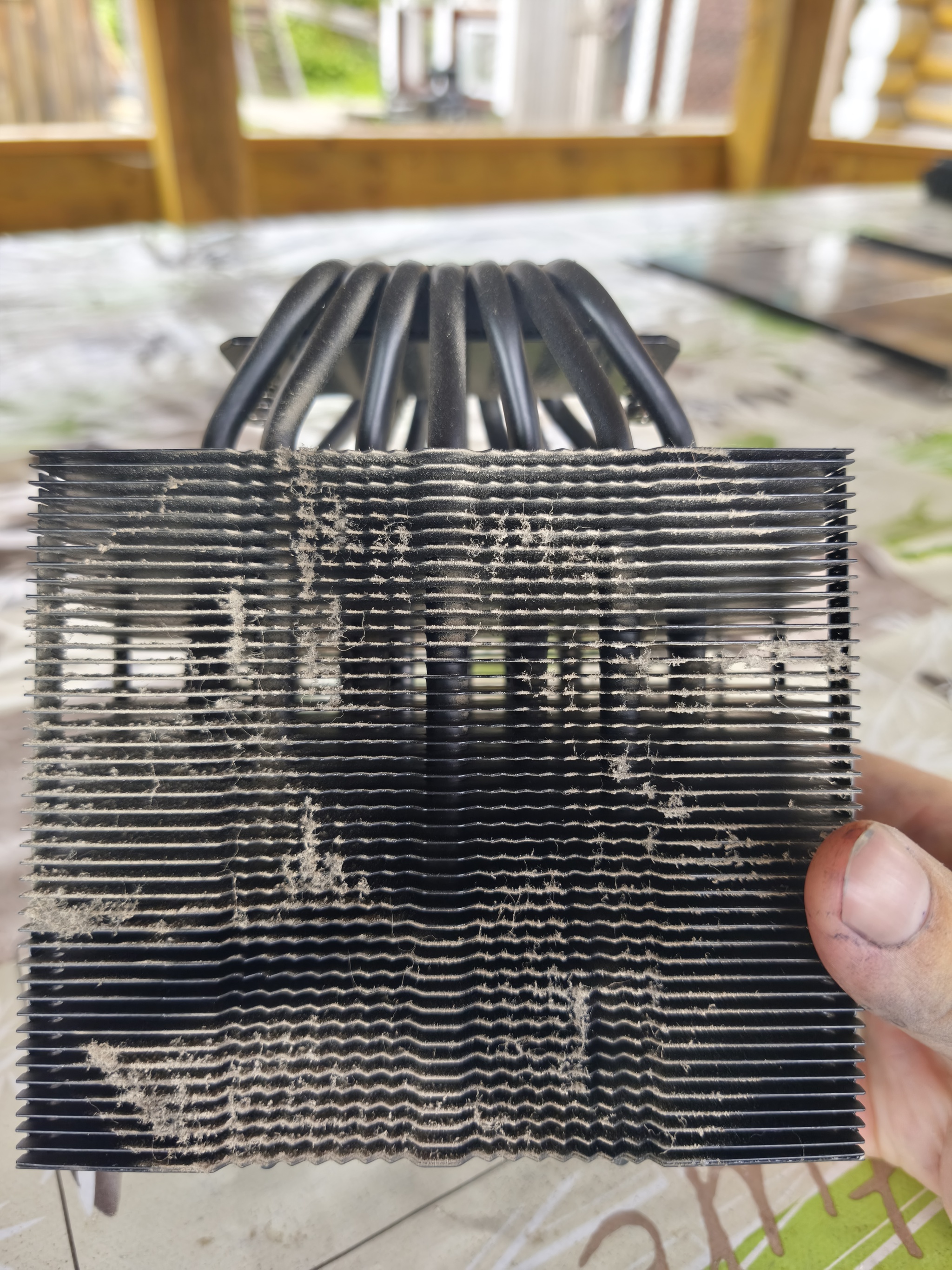 From Berries to Thermal Paste: How I Spent My Clean Monday - Series Blog, My, Computer, Gaming PC, Computer hardware, Cleaning, Romarik, novel, Video card, Assembling your computer, RAM, CPU, Cooler, SSD, HDD, Windows, PC case, Dust bag, Thermal paste, Replacing thermal paste, Testing