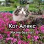 CATALEXFM