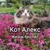 CATALEXFM