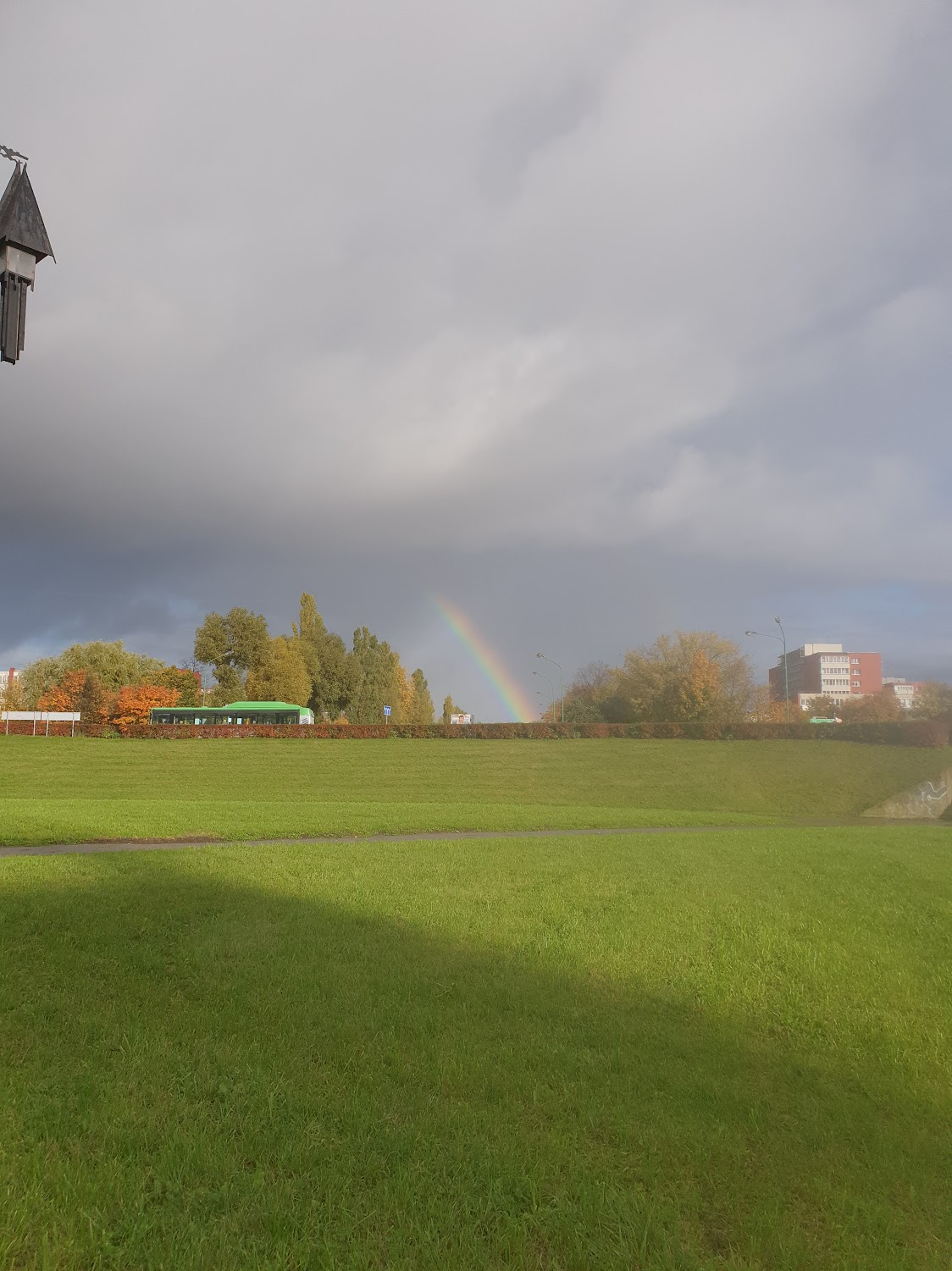Shie1D's reply to Show me some nature from the gallery! - My, Mobile photography, Nature, Reply to post, A wave of posts, Baltic Sea, Swans, Rainbow, Longpost