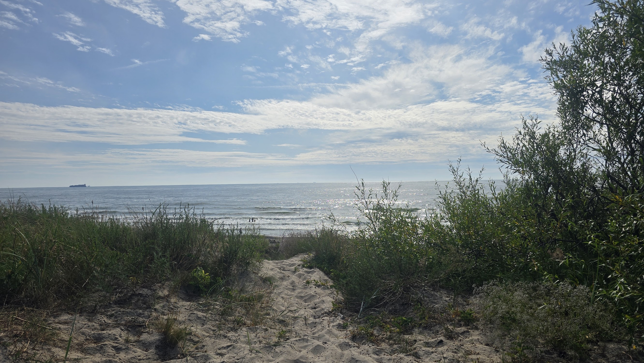 Shie1D's reply to Show me some nature from the gallery! - My, Mobile photography, Nature, Reply to post, A wave of posts, Baltic Sea, Swans, Rainbow, Longpost