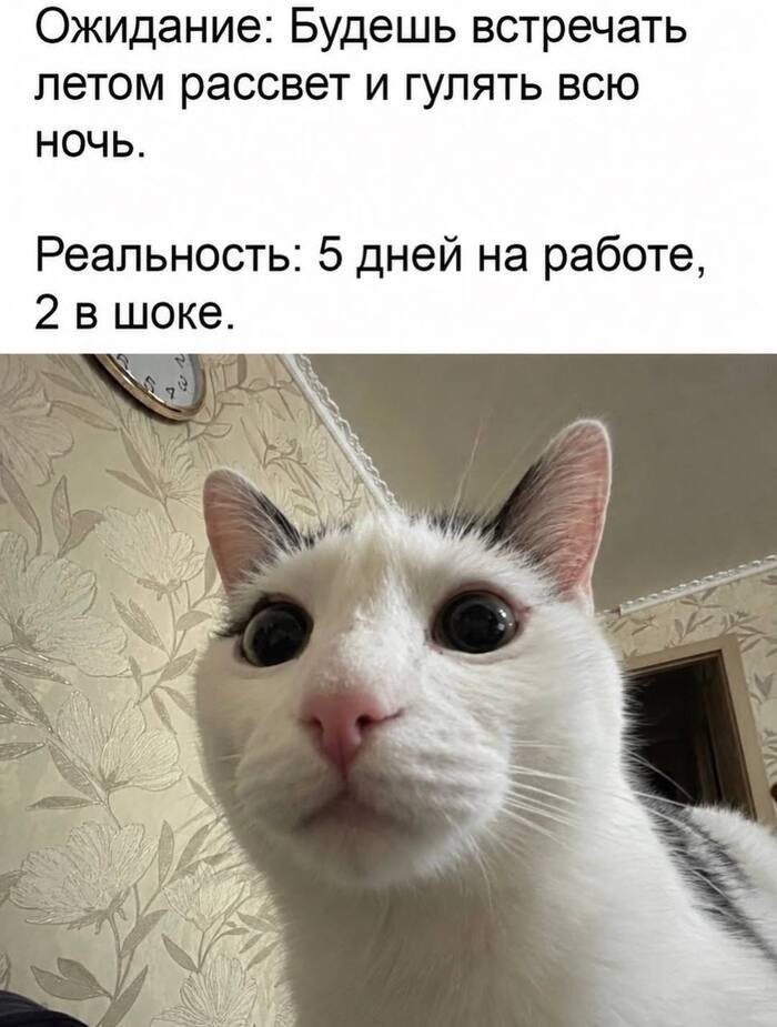 ���� ��������������