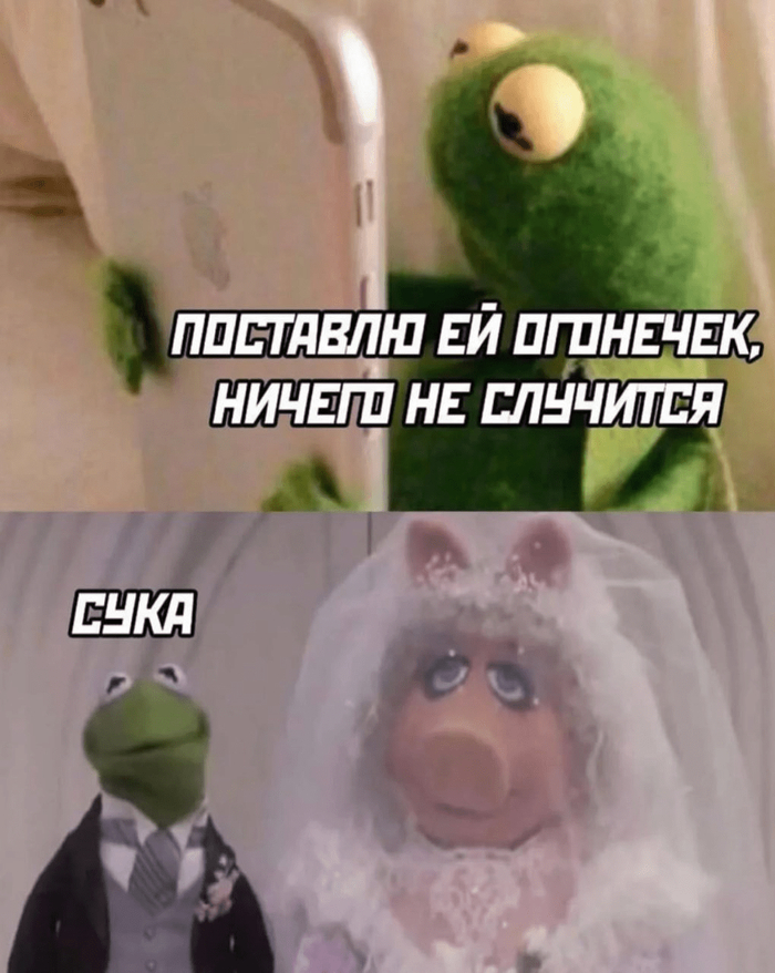 ������ ����������