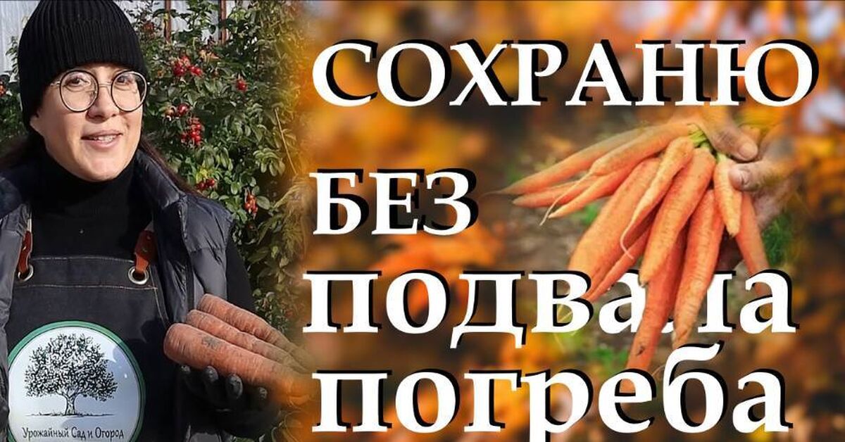 How to keep beets and carrots juicy and fresh until spring - My, Gardening, Garden, Garden, Dacha, House, Harvest, Life hack, Land plot, Plant growing, Home construction, Growing, Video, Rutube
