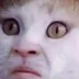 NiganV