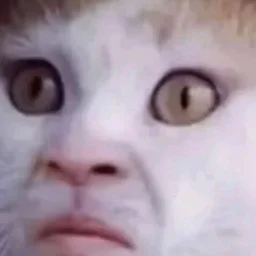 NiganV