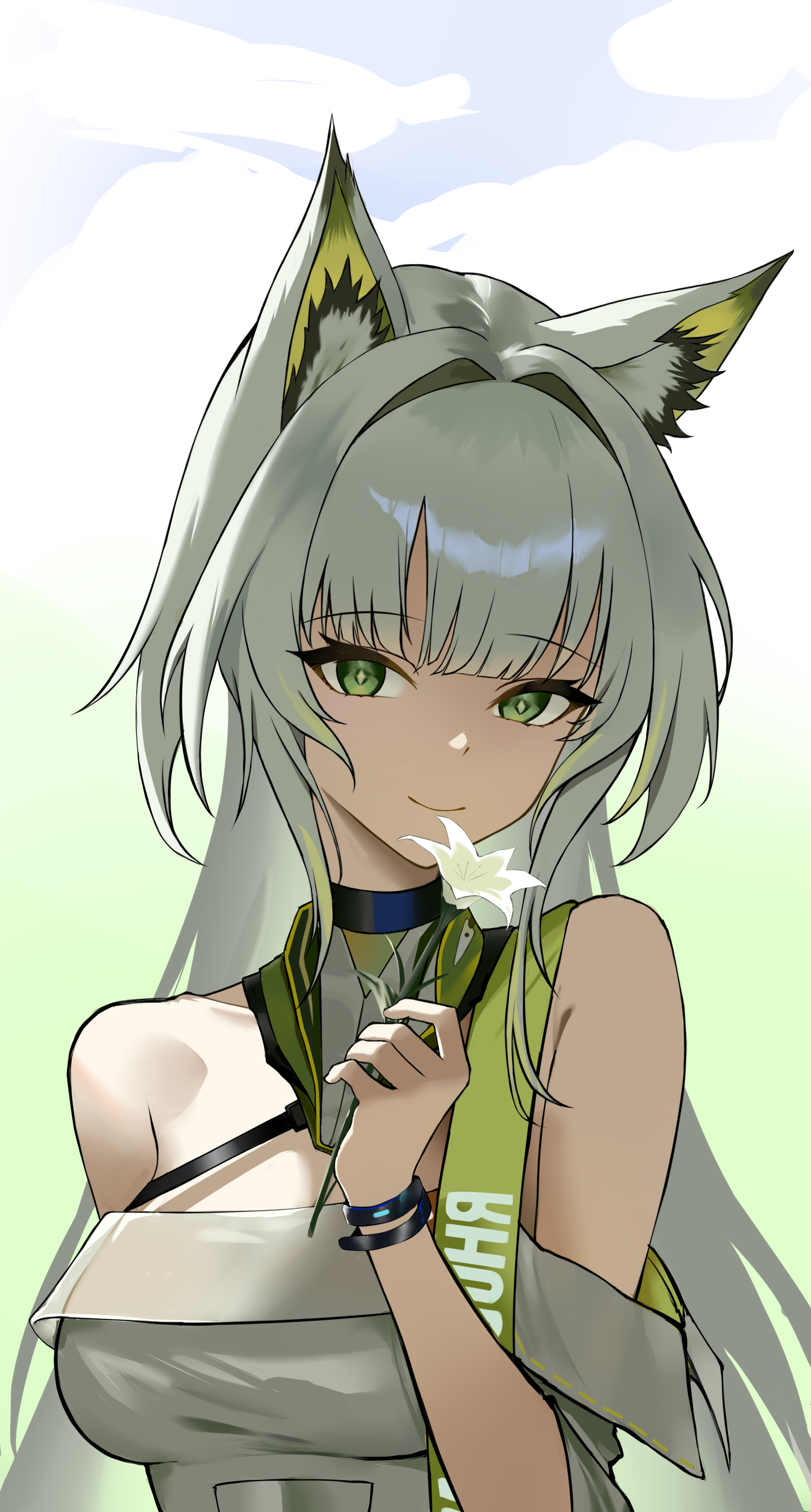 Kaltsit - Anime art, Anime, Arknights, Kaltsit, Animal ears
