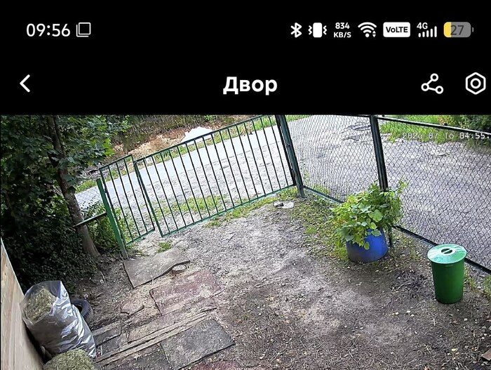 Найди лису