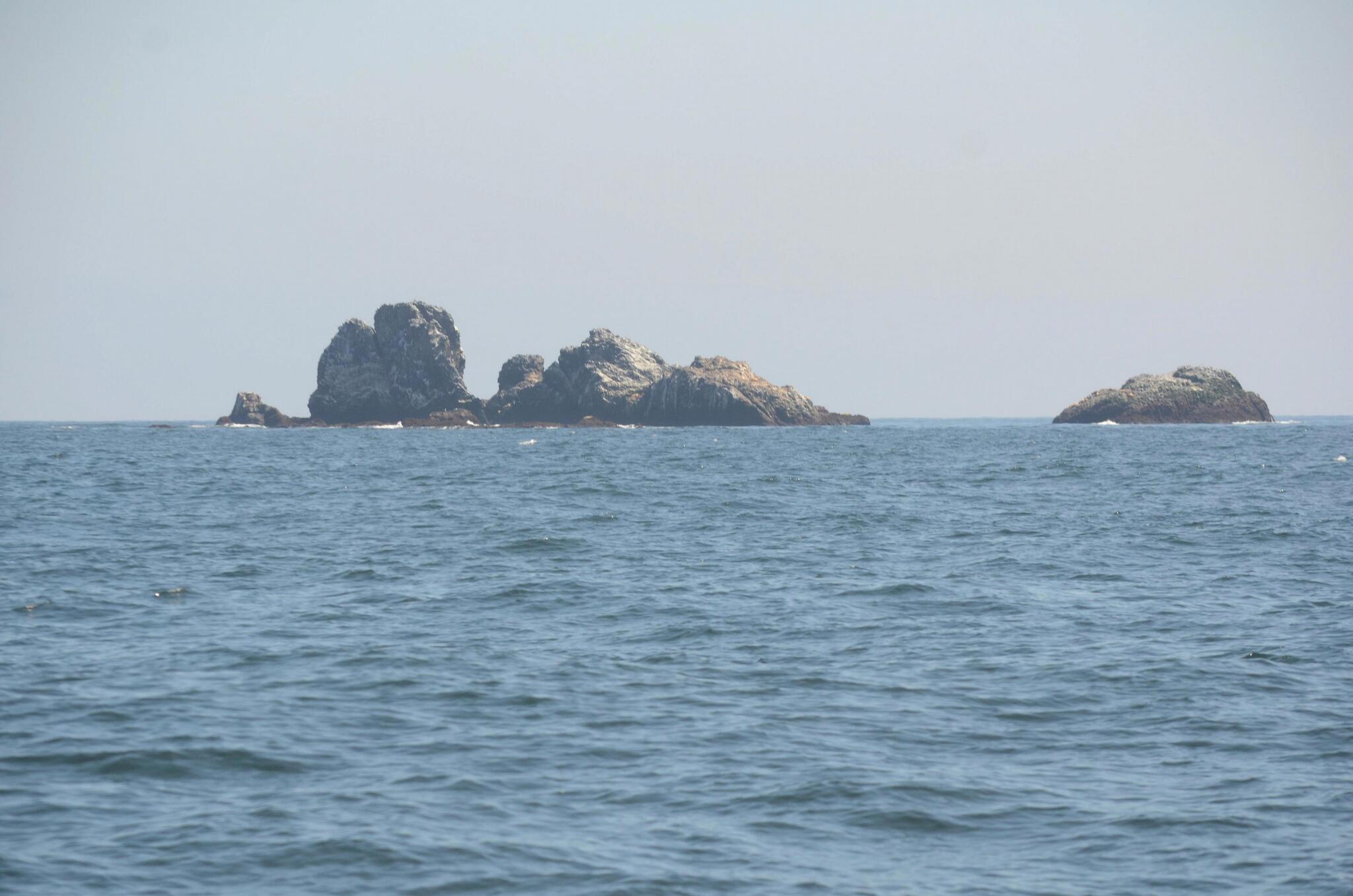 The Great Malokuril Expeditions. Part Four - Series Sea otters and cormorants, My, Reserves and sanctuaries, The photo, Pacific Ocean, South Kurils, Sea otter, Quadcopter, Longpost