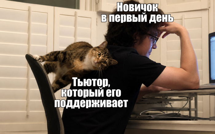 Школа-склад: как в Ozon fresh обучают новых сотрудников