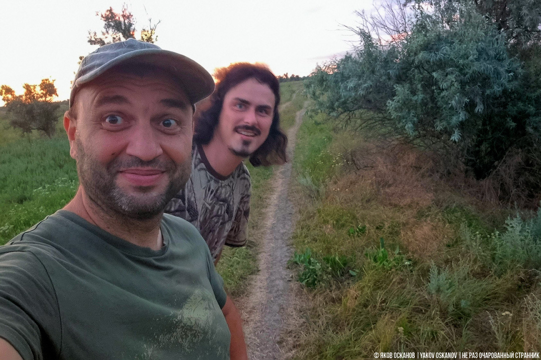 An illegal poultry farm in the forest. Year two: what's the impact? - Series Nature Transformation Plan PPP, My, Animals, In the animal world, Good deeds, wildlife, Birds, Falcons of Russia, Longpost