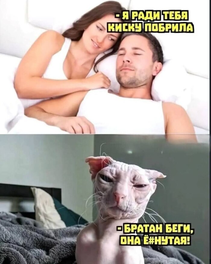 Беги