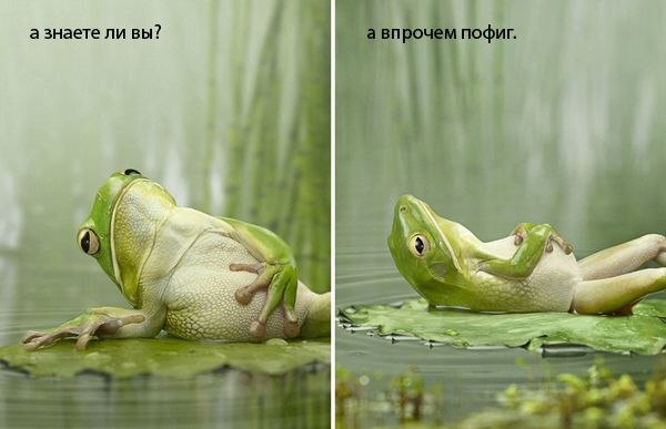 Ответ на пост «Всё о чём мечтал сбылось!!!»