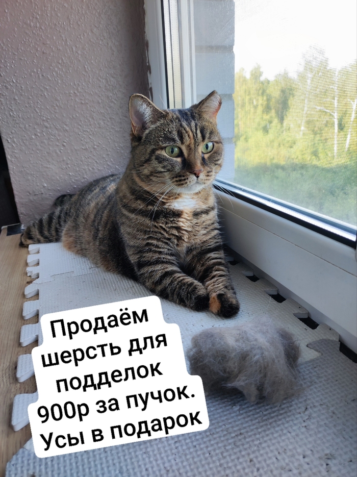 �������� ������