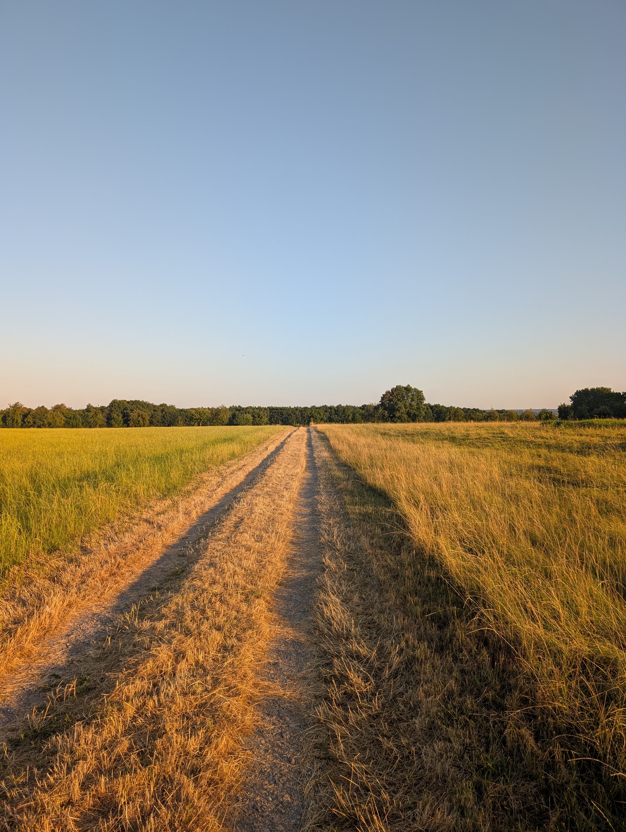 Suburb - My, Germany, Suburb, Walk, Sunset, Longpost