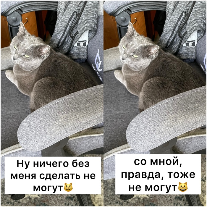 Когда ты большой начальник