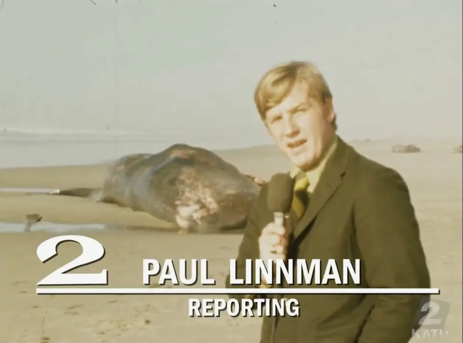 The 1970 Oregon Blow Up the Whale is the most epic failure that ranks among human stupidity! - Whale, Explosion, Ocean, Nature, Error, People, Longpost