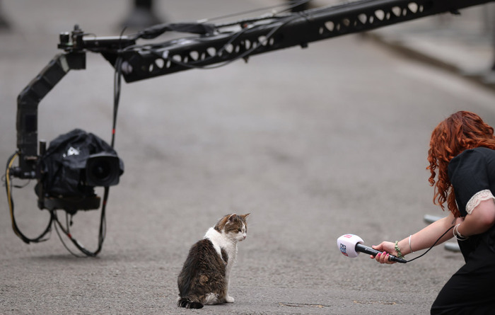 ����: Dan Kitwood/Getty Images
