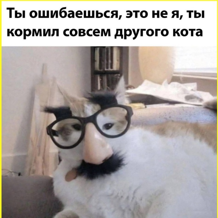 Post of selected, fierce classics 011 - Humor, Images, Longpost