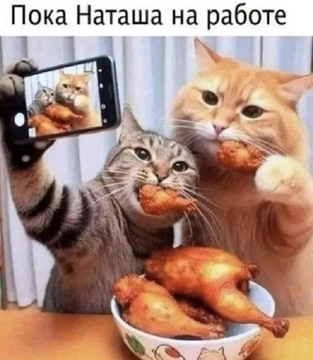 Post of selected, fierce classics 012 - Humor, Images, Longpost