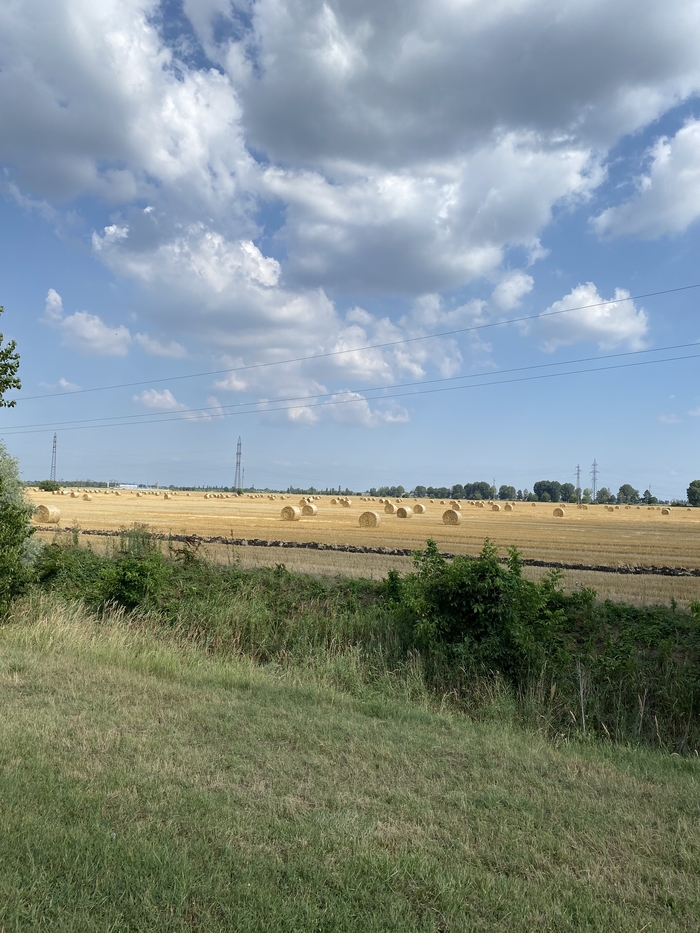 Ответ skalar2019 в «Покажите последнюю фотографию, которую вы сделали просто потому что вам было красиво»