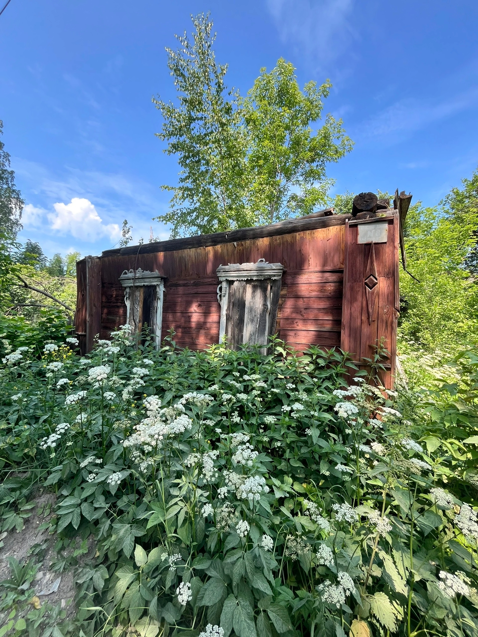 When you are not needed by your heirs, but you still keep the memory of generations within yourself - My, Sadness, History (science), Past, House, Memory, Time, Longpost, The photo, Village, Abandoned villages