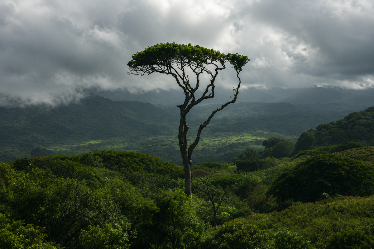 The court banned this dump. Sixteen years later, a beautiful forest grew there. - Nature, wildlife, Wild animals, Animals, Negative, Zen, Yandex Zen, Yandex Zen (link), Longpost