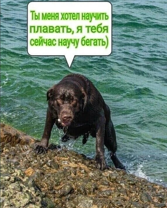 �� �� ������ ������?