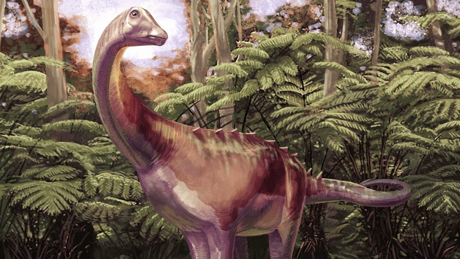 Scientists have discovered the first dinosaur from Antarctica. - My, Paleontology, Nauchpop
