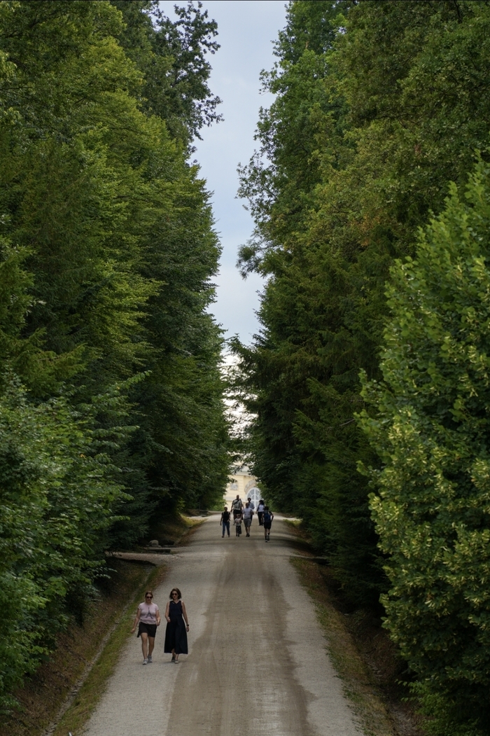 Моя любимая дорогая для бега в Schönbrunn